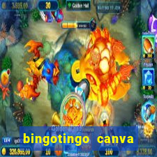 bingotingo canva pro gratis